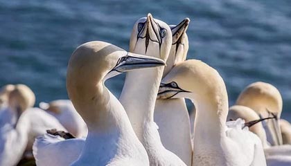 开云登录网址入口-赛后采访Tarzan Kael：尽可能打到决赛，一步一个脚印走上去